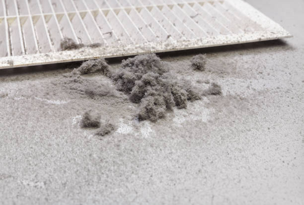 Best Dryer Vent Cleaning Services  in Pleasant Hill, MO