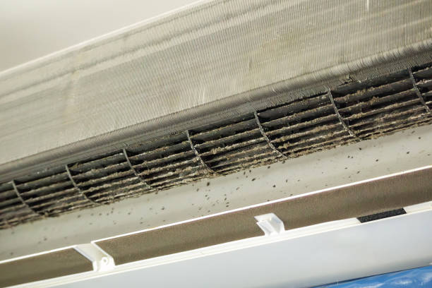 Best Air Duct Mold Removal  in Pleasant Hill, MO